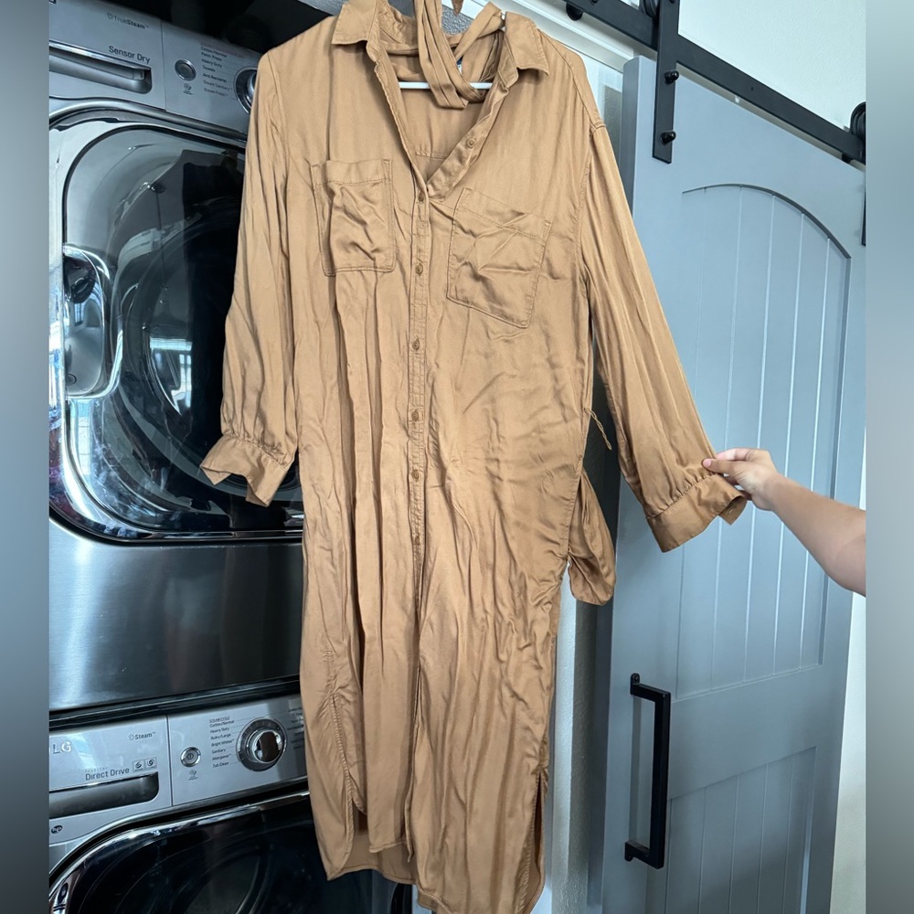 Brown button up long dress.